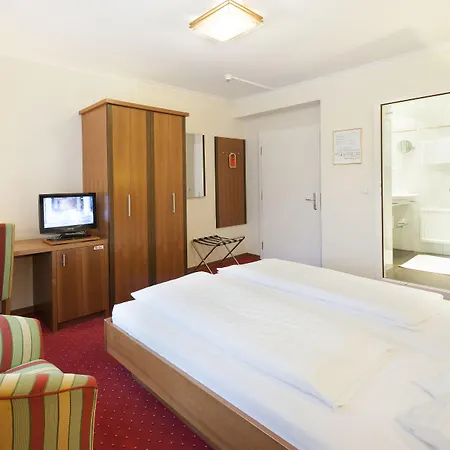 Hotel Goldener Loewe-3